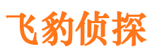 城阳调查公司